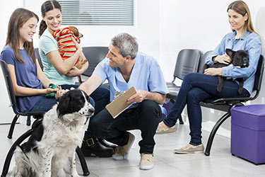 attracting-new-clients-vet-office